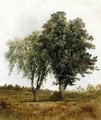 A Study Of Trees - John Frederick Kensett
