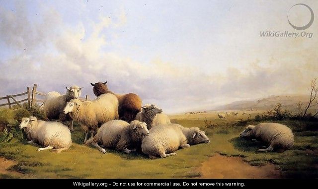 Sheep In An Extensive Landscape - Thomas Sidney Cooper