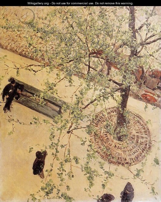 Boulevard Seen From Above - Gustave Caillebotte