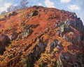 Study Of Rocks Aka Le Bloc - Claude Oscar Monet