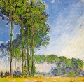 Poplars View From The Marsh - Claude Oscar Monet