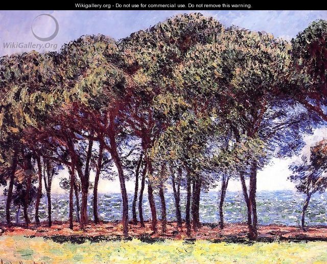 Pine Trees Cap DAntibes - Claude Oscar Monet