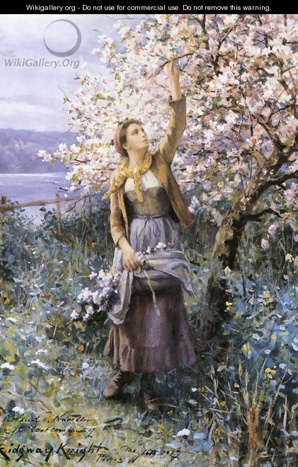 Gathering Apple Blossoms - Daniel Ridgway Knight