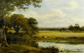 Surrey Cornfields - Benjamin Williams Leader