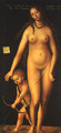 Venus and Cupid 1509 - Lucas The Elder Cranach