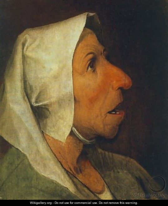 Portrait of an Old Woman 1563 - Pieter the Elder Bruegel