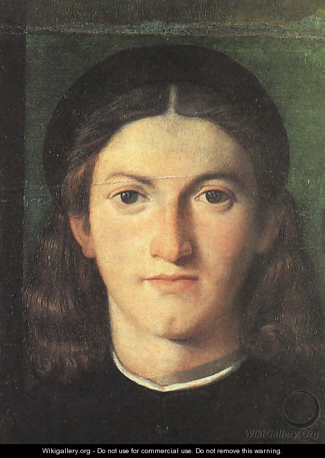 Head of a Young Man c. 1505 - Lorenzo Lotto