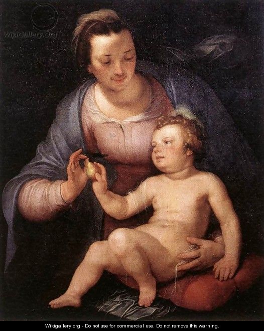Madonna and Child 1617 - Cornelis Cornelisz Van Haarlem