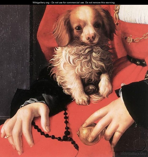 Portrait of a Lady with a Puppy (detail) 1532-36 - Agnolo Bronzino