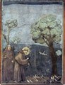 Legend of St Francis- 15. Sermon to the Birds 1297-99 - Giotto Di Bondone