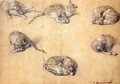Six studies of a cat 1765-70 - Thomas Gainsborough