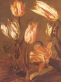 Tulip Field (detail) 1638 - Jacob Gerritsz. Cuyp