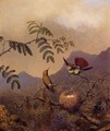 Frilled Coquette - Martin Johnson Heade