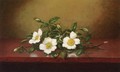 Cherokee Roses On A Shiney Table - Martin Johnson Heade