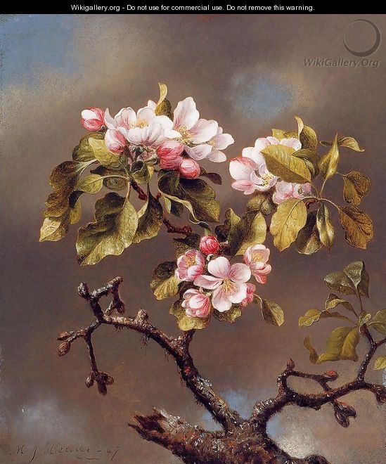Branch Of Apple Blossoms Against A Cloudy Sky - Martin Johnson Heade