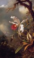 An Amethyst Hummingbird With A White Orchid - Martin Johnson Heade