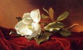 A Magnolia On Red Velvet - Martin Johnson Heade