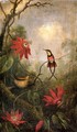 Passion Flowers And Hummingbirds2 - Martin Johnson Heade