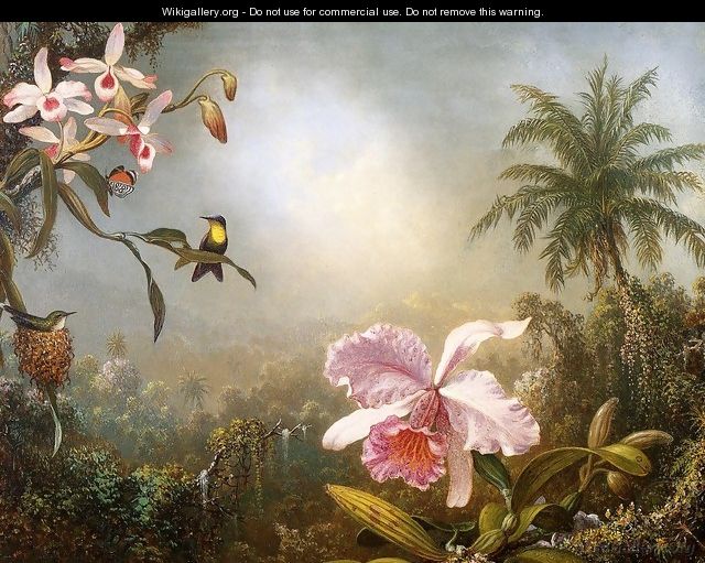 Orchids Nesting Hummingbirds And A Butterfly - Martin Johnson Heade