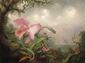 Orchid And Hummingbird - Martin Johnson Heade