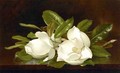 Magnolias On A Wooden Table - Martin Johnson Heade