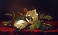 Magnoliae Grandeflorae - Martin Johnson Heade