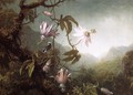 Hummingbird Perched Near Passion Flowers - Martin Johnson Heade