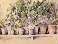 Flowerpots - Paul Cezanne