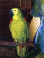 Parrot - George Wesley Bellows