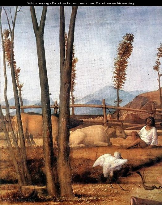 Madonna of the Meadow (detail 1) 1505 - Giovanni Bellini