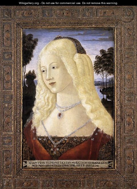 Portrait of a Lady 1480s - Neroccio (Bartolommeo) De