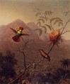 Tufted Coquette - Martin Johnson Heade