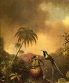 Thorn Tail Brazil - Martin Johnson Heade