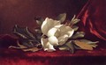 The Magnolia Blossom - Martin Johnson Heade