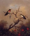 Ruby Throated Hummingbird - Martin Johnson Heade