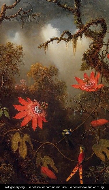 Two Hummingbirds Perched On Passion Flower Vines - Martin Johnson Heade
