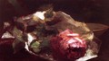 Still Life With Rose - John La Farge