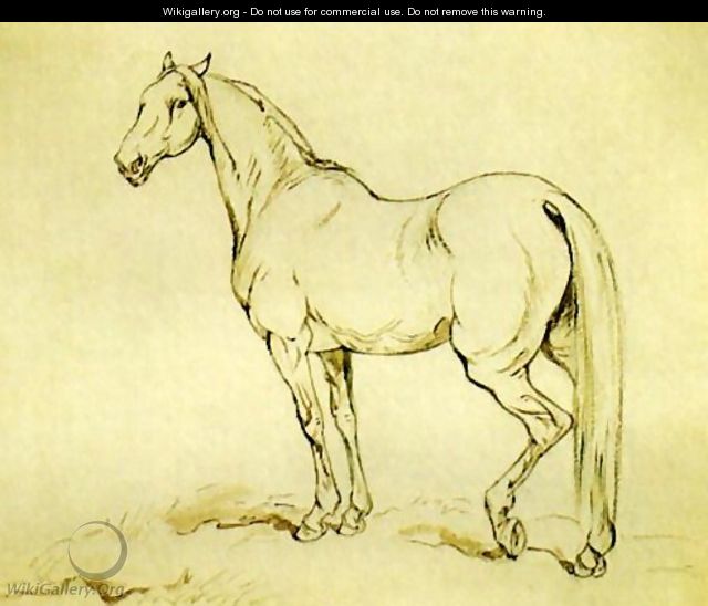 Study of a Horse - Juliusz Kossak
