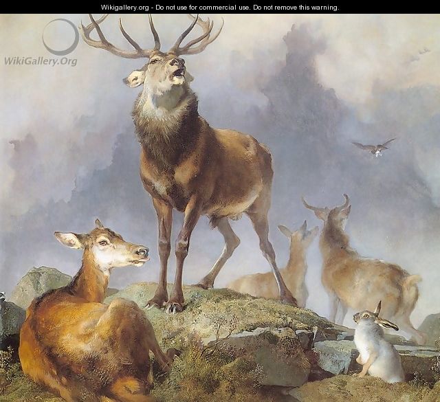 Scene in Braemar- Highland Deer 1857 - Sir Edwin Henry Landseer