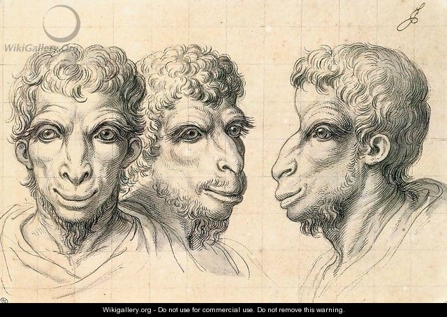 Physiognomic Heads Inspired by a Camel c. 1670 - Charles Le Brun