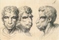 Physiognomic Heads Inspired by a Camel c. 1670 - Charles Le Brun