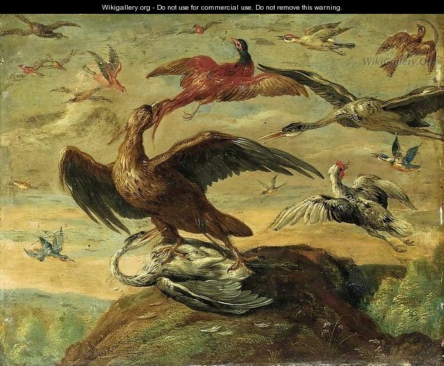 Birds - Jan van Kessel