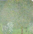 Roses Under the Trees 1905 - Gustav Klimt