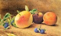 Study of Fruit 1877 - John William Hill