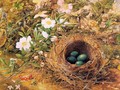 Bird's Nest and Dogroses 1867 - John William Hill