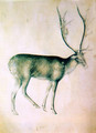 Stag (from a sketch-book) 1380-90 - Giovannino de' Grassi