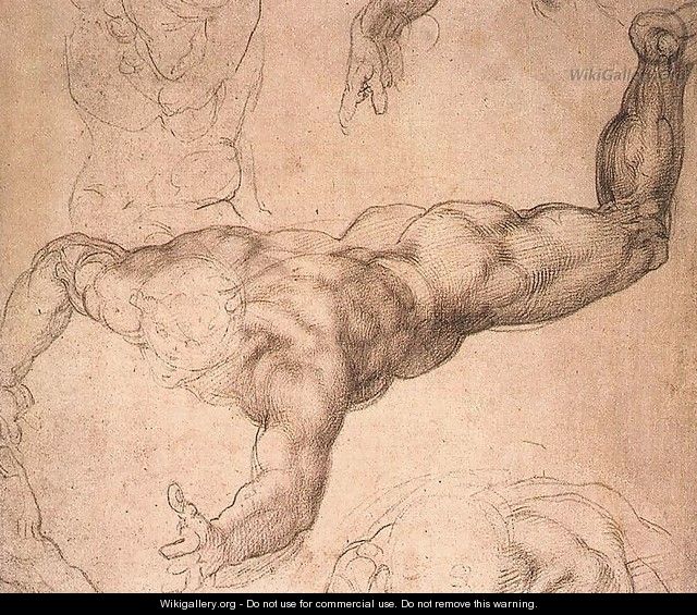 Male Figure 1530s - Michelangelo Buonarroti