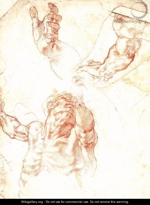 Study for Haman 1511 - Michelangelo Buonarroti