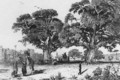 View of Ezbekiyah, Cairo c. 1835 - Prosper-Georges-Antoine Marilhat