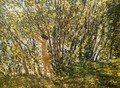 Nude in Sunlilt Wood - Frederick Childe Hassam